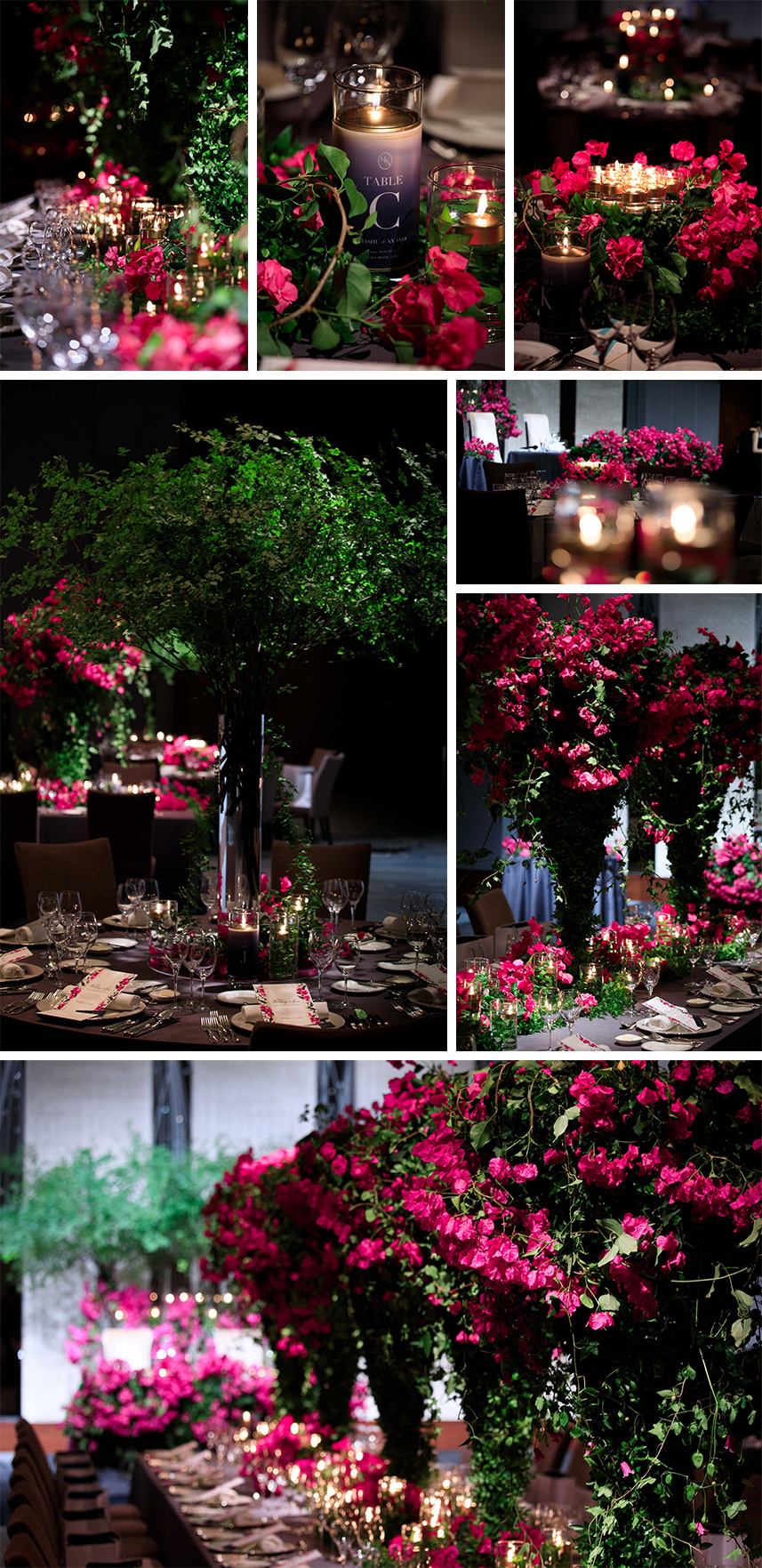 bougainvillea_03