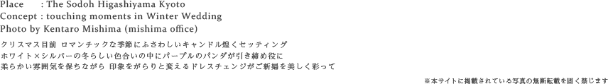 クリスマス目前 ロマンチックな季節にふさわしいキャンドル煌くセッティング
ホワイト×シルバーの冬らしい色合いの中にパープルのパンダが引き締め役に
柔らかい雰囲気を保ちながら 印象をがらりと変えるドレスチェンジがご新婦を美しく彩って